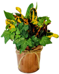 4.5" Fall Fluted Metal w/ Garden (Box of 16)